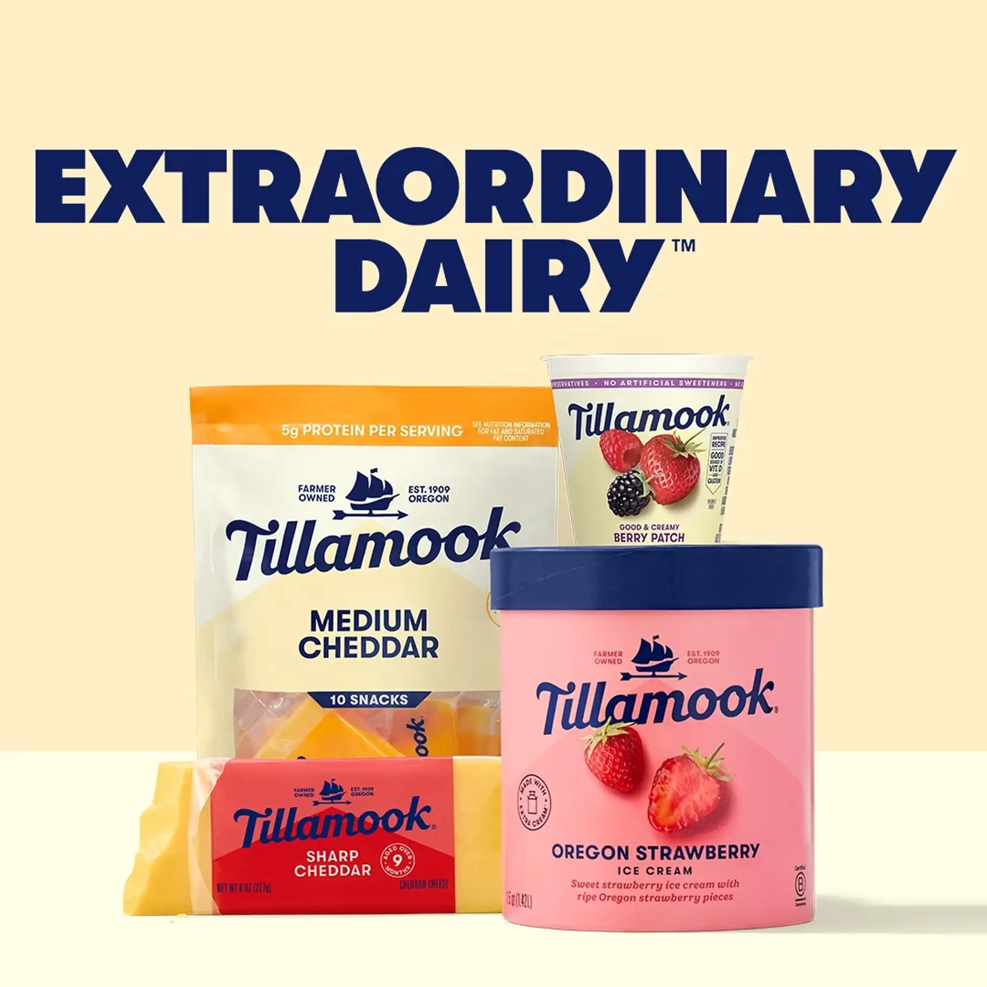 Tillamook Marionberry Greek Yogurt Blended 14g Protein per Serving 5.3 oz - Image 2