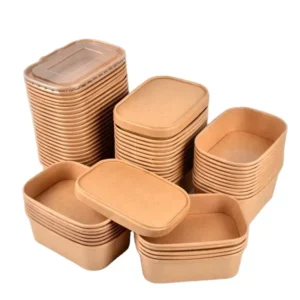 High Quality Eco Square Disposable – Wholesale Food Packaging