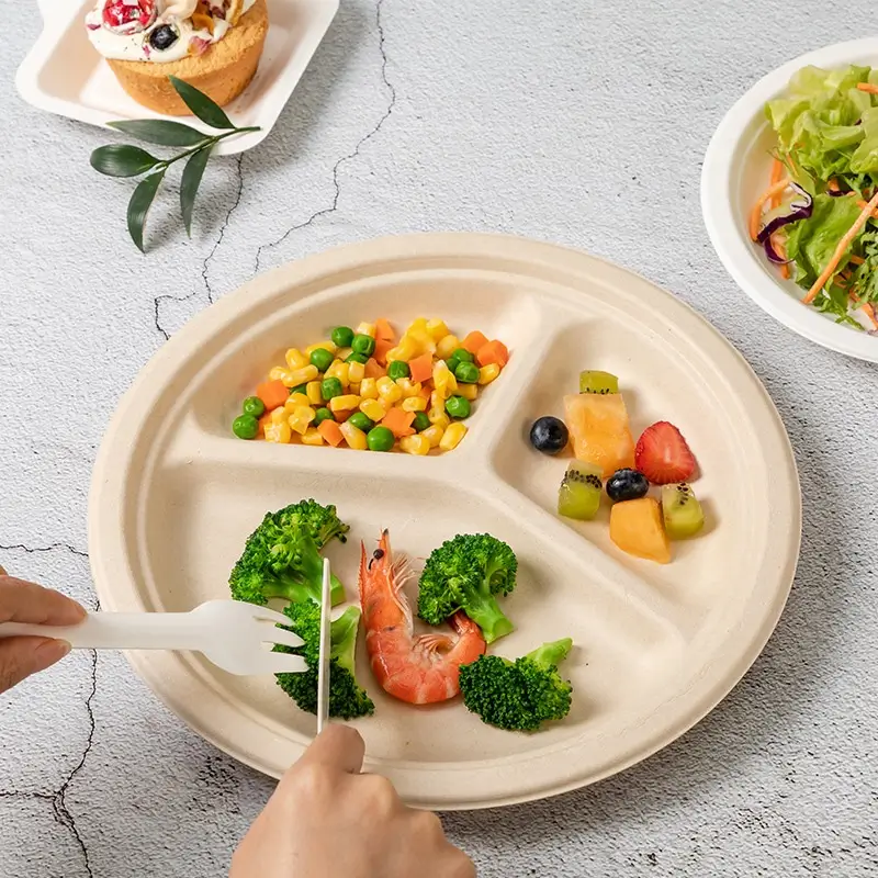 High Quality Eco Square Disposable – Wholesale Food Packaging - Image 4