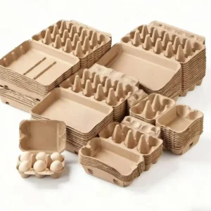 Egg Carton Tray – Wholesale Egg Packaging